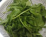 A picture of step 1 of EverGreen vegetable omalate.