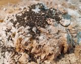 Foto del paso 2 de la receta Bagels caseros de espelta