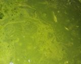 A picture of step 7 of Spinach gravy.