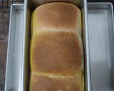 Foto langkah ke 11 dari resep (Sourdough Discard) Roti Tawar Angkak dan Kunyit.
