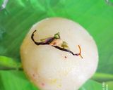 A picture of step 2 of Tiranga Sooji Pitha.