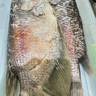 Langkah 1