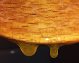 Foto del paso 5 de la receta: Chamoy de ciruela amarilla y mermelada de ciruela