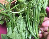 Foto langkah ke 1 dari resep Tumis Daun Pucuk Labu.