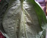 A picture of step 1 of Paan leaf mocktail.