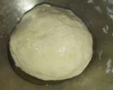 Foto langkah ke 2 dari resep Bakpao (No Mixer).
