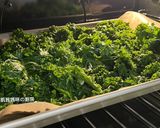 A picture of step 5 of Crispy Kale Chips.