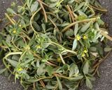 Foto del passaggio 2 della ricetta Torta salata con portulaca