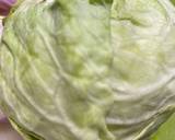 Golabki or Cabbage Soup recipe step 1 photo