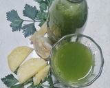 Foto langkah ke 4 dari resep Jus SELENA a la Mechta.