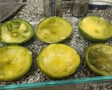 Foto del paso 4 de la receta: Zapallitos rellenos de carne con salsa blanca y roja gratinados