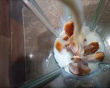 A picture of step 2 of Chikoo milkshake.