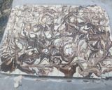 Foto del paso 7 de la receta: Turrón con cereales