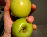 Foto del paso 1 de la receta: Pastel de manzana