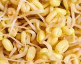 Foto del paso 7 de la receta: Brotes de mungo (mal llamados brotes de soja) 🌱 🫘
