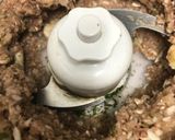 Foto del paso 3 de la receta: 120. Lomos de salmón con salsa de menta y champiñones (principal pescado)