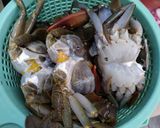 Foto langkah ke 1 dari resep Kepiting saos padang (Seafood mix).