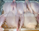 Foto del paso 4 de la receta: Codorniz guisada
