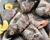 Foto langkah ke 1 dari resep Ikan Nila Goreng (Bumbu Marinasi).