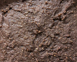 Foto del paso 6 de la receta: Brownie de batata