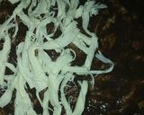 Foto del paso 11 de la receta: Tlayuda para los difuntos (Tlayuda tradicional oaxaqueña)