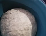 Foto del paso 4 de la receta: Pan Rústico natural (baguette)