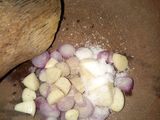 Healthy Chicken Soup