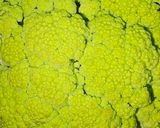 Foto del paso 1 de la receta: Crema de verduras