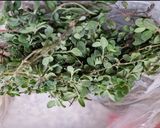 Une image de l'étape 6 de 🥑Guacamole 🫛petit pois ail des ours 🫒oseilles 🌶️.