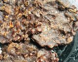 A picture of step 1 of Vazhaipoo ragi addai / plantain flower ragi adai (healthy breakfast receipe).