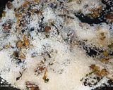 Foto del paso 10 de la receta: Arroz seco de otoño