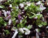 A picture of step 3 of Fried Black chana chaat with green masala.