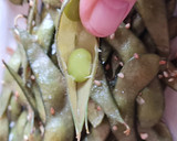 Foto del paso 8 de la receta: Edamame 枝豆 o vaina de soja fresca 🇯🇵🫛 "otoshi" o aperitivo en "izakaya" o taberna, cervecería 🍻Japón