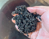 Foto langkah ke 1 dari resep Bubur Ketan Hitam Kental.