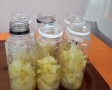 Foto langkah ke 3 dari resep Homemade Probiotic Fermentated Water.