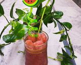 A picture of step 7 of Watermelon Slush.