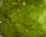 A picture of step 3 of Instant green appe.
