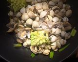 Une image de l'étape 4 de Coques au chou Romanesco.