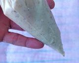Foto del paso 4 de la receta: Tortas de aceite a los aromas de cardamomo y canela