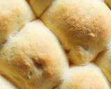 Double Rise Dinner Rolls recipe step 6 photo