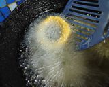 A picture of step 13 of Savoury Rice flour Rings.