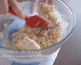 A picture of step 6 of Snowball Cookies (Boule de Neige).