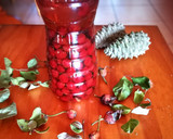 Foto del paso 2 de la receta: Licor de bayas de Rosa Mosqueta bio