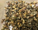 皮蛋鑲澎湖野生珠螺的食譜步驟1照片