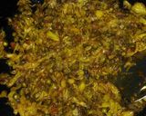 A picture of step 3 of Cabbage green peas sabzi.