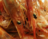 Foto del paso 5 de la receta: Suquet de rap amb gambes i calamar 🐟🦐