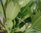 Foto langkah ke 2 dari resep Sayur Labu Siam Daun Ginseng Ayam.