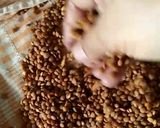 A picture of step 1 of Dal Moth.