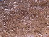 حلى بارد طبقات
