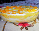A picture of step 3 of Mango float.
